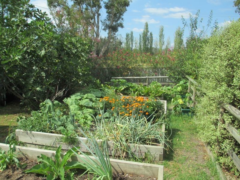 24 Shore Street, Moruya NSW 2537