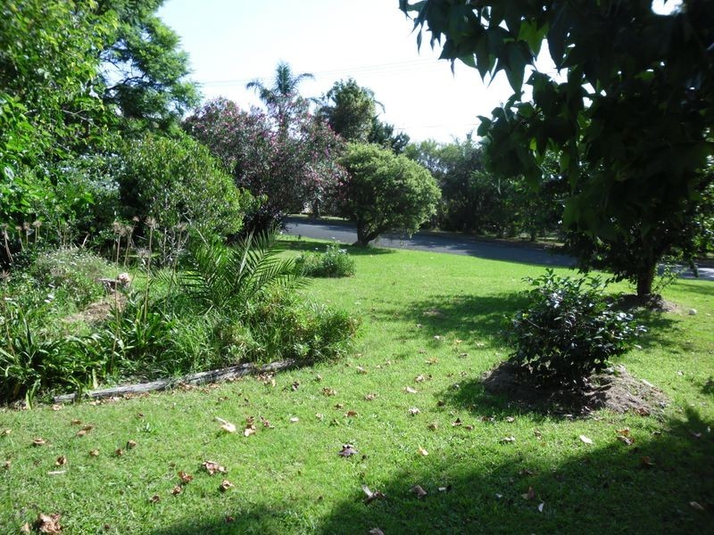 51 Campbell Street, Moruya NSW 2537