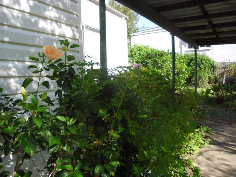 51 Campbell Street, Moruya NSW 2537