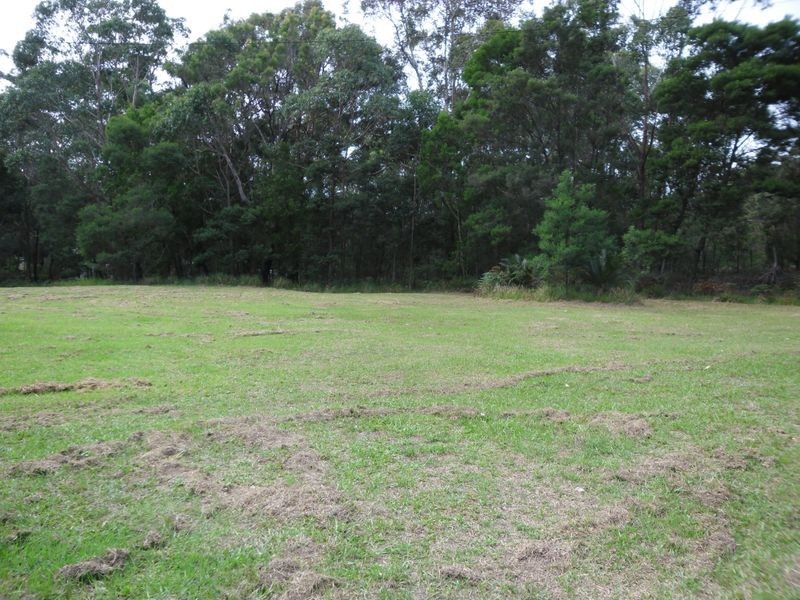 369 Bingie Road, Bingie NSW 2537