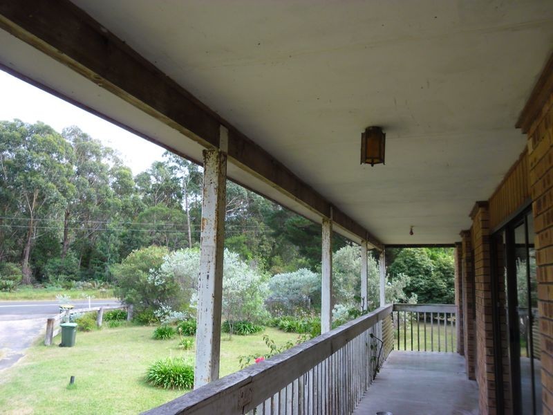 369 Bingie Road, Bingie NSW 2537