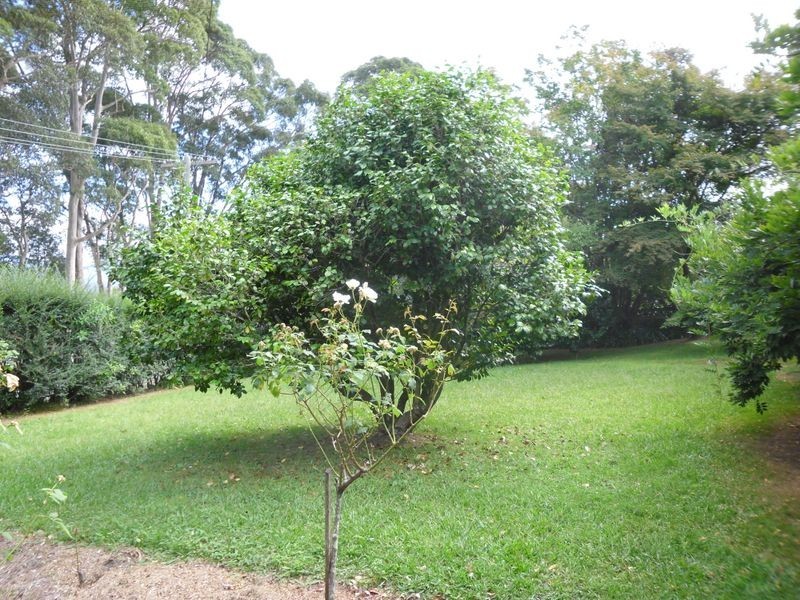 86 Princes Highway, Bodalla NSW 2545