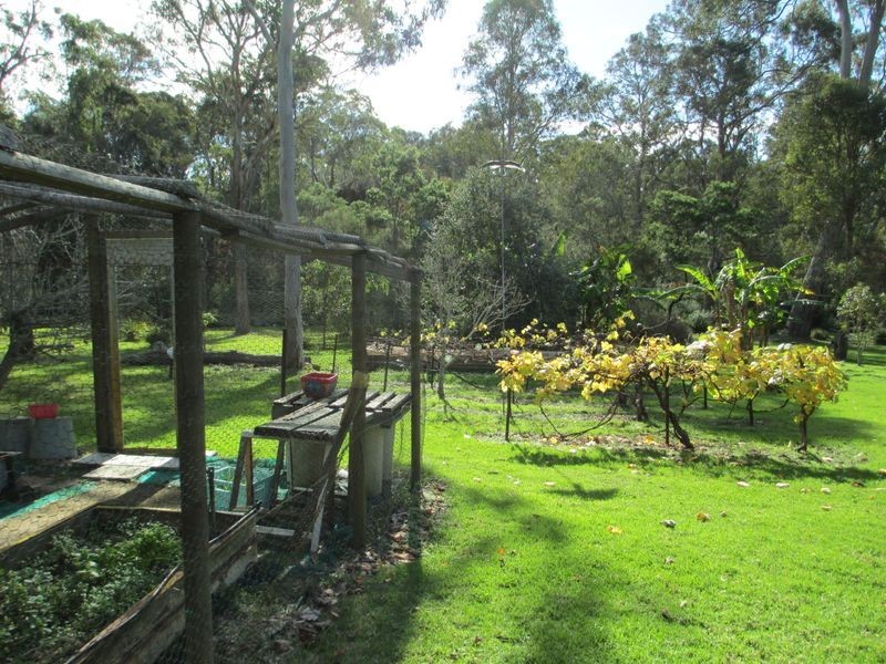 51 Ross Place, Bingie NSW 2537