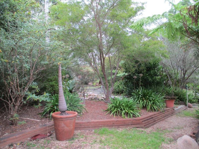 31C The Anchorage, Moruya Heads NSW 2537