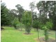4278 Princes Highway, Moruya NSW 2537