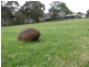4278 Princes Highway, Moruya NSW 2537