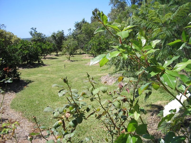 47 Berriman Drive, Congo NSW 2537