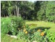 249 Bodalla Park Drive, Bodalla NSW 2545