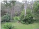 11A Headland Grove, Moruya Heads NSW 2537