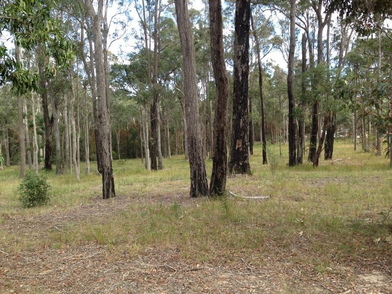 Lot 5 Conrad Drive, Bingie NSW 2537