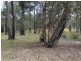 Lot 5 Conrad Drive, Bingie NSW 2537
