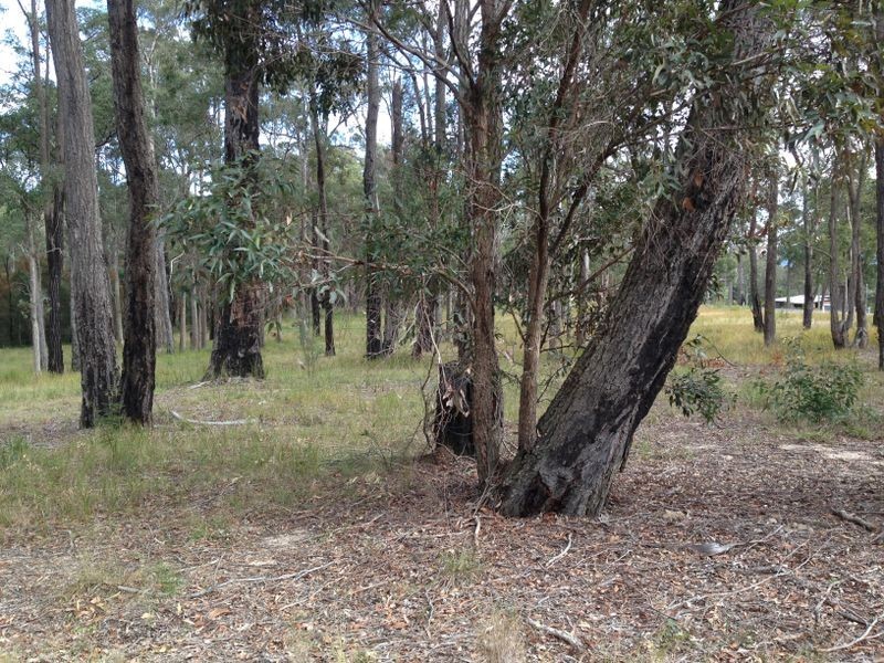 Lot 5 Conrad Drive, Bingie NSW 2537