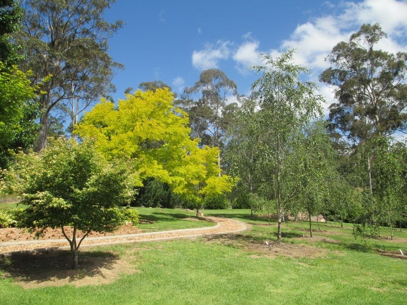 15 Bushlark Close, Bodalla NSW 2545