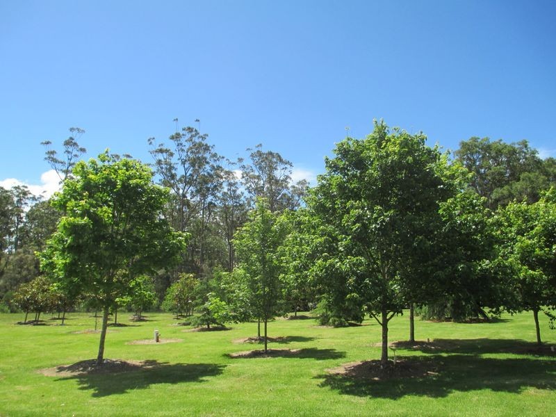 15 Bushlark Close, Bodalla NSW 2545