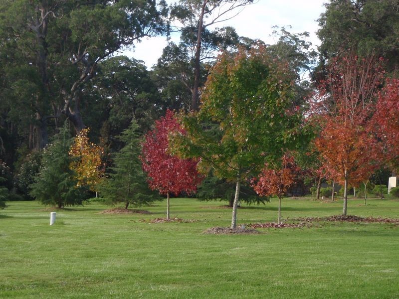 15 Bushlark Close, Bodalla NSW 2545
