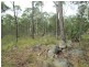 Lot 24 Janari Close, Moruya NSW 2537