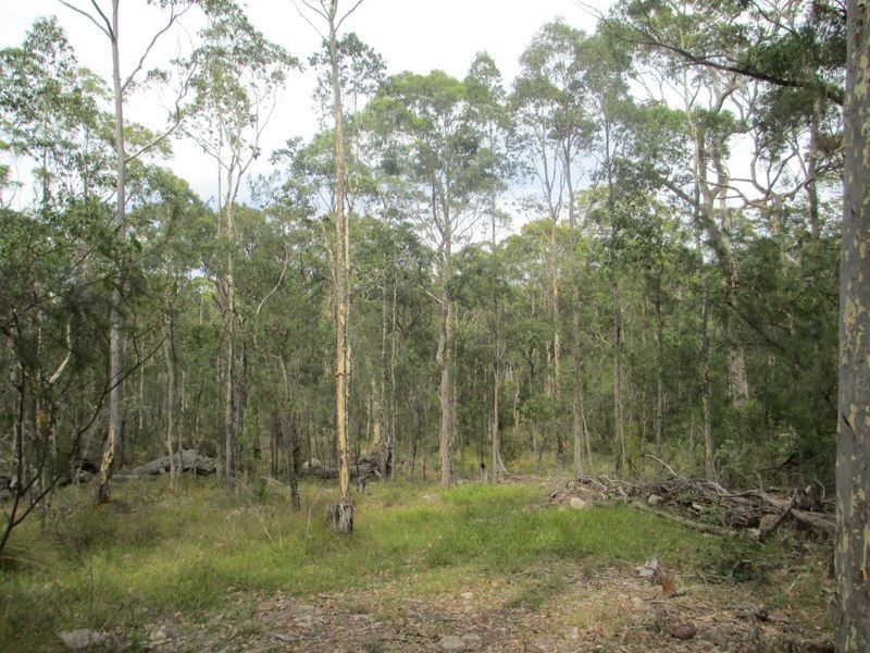 Lot 24 Janari Close, Moruya NSW 2537