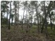 Lot 24 Janari Close, Moruya NSW 2537