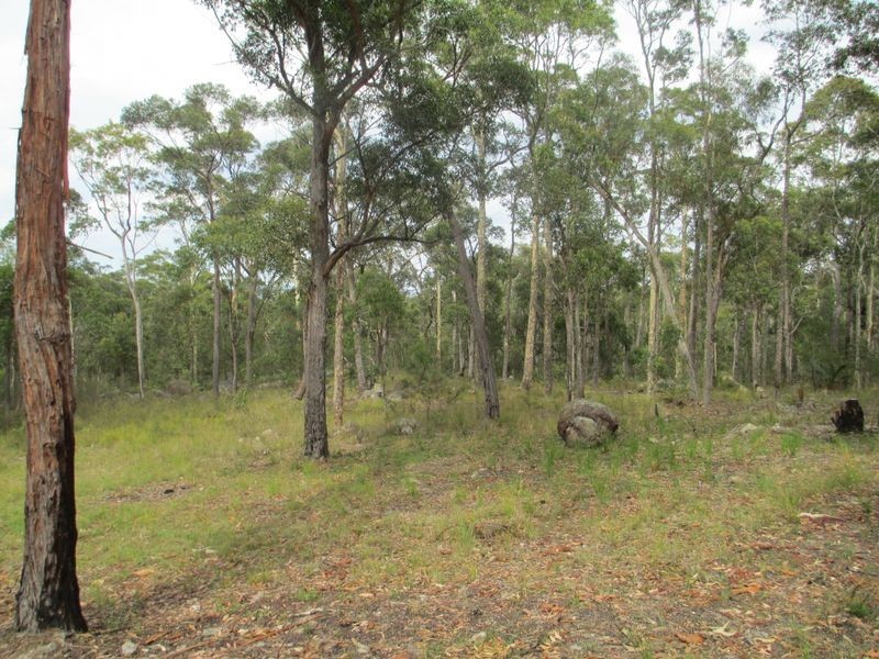 Lot 24 Janari Close, Moruya NSW 2537
