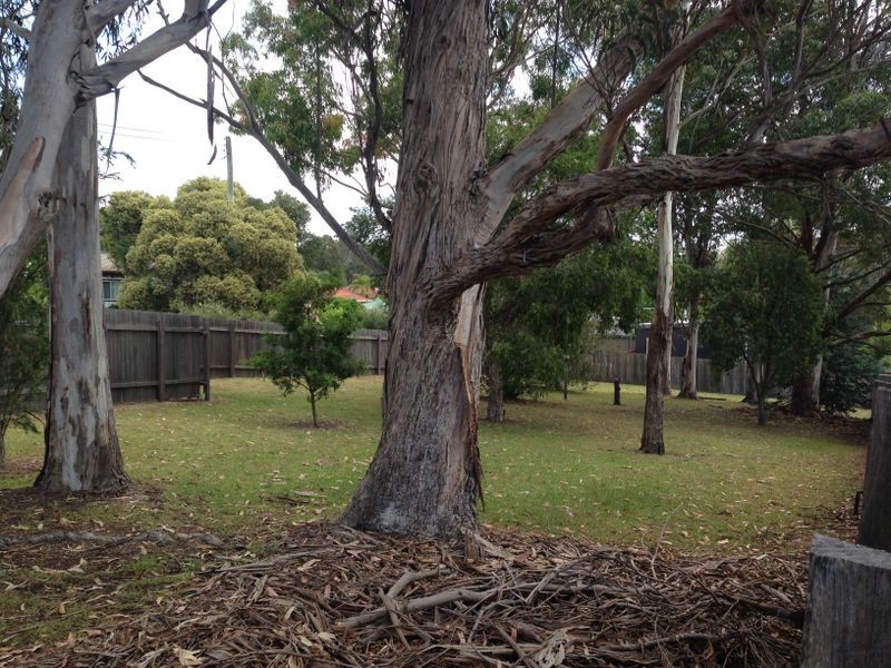 1 Jersey Road, Moruya NSW 2537