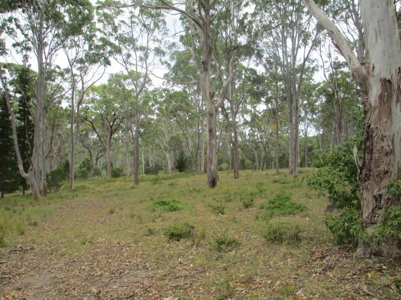 Lot 101/27 Summer Place, Bingie NSW 2537