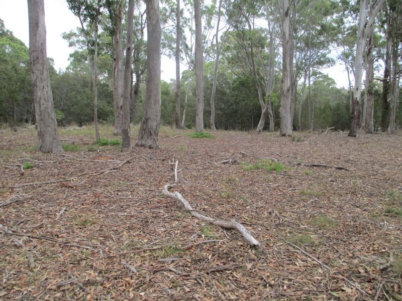 Lot 101/27 Summer Place, Bingie NSW 2537