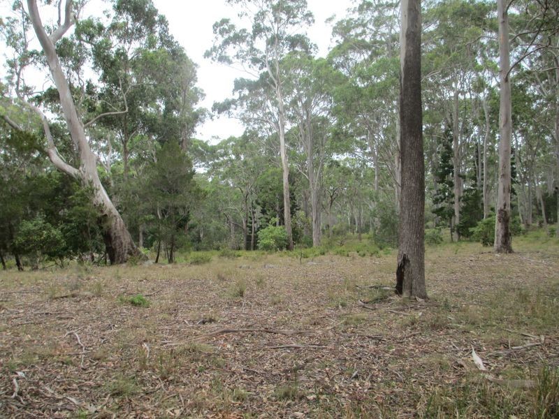 Lot 101/27 Summer Place, Bingie NSW 2537