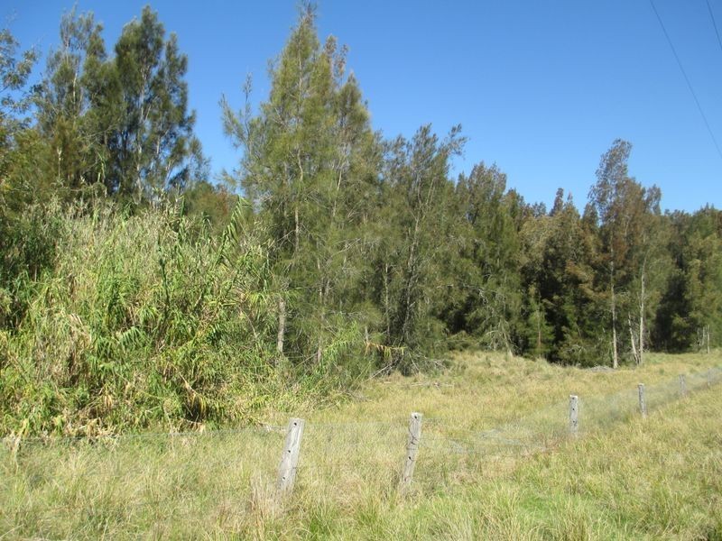 19 Munjeroo Lane, Bingie NSW 2537