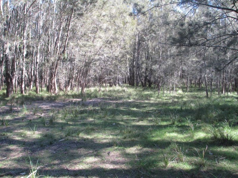 19 Munjeroo Lane, Bingie NSW 2537