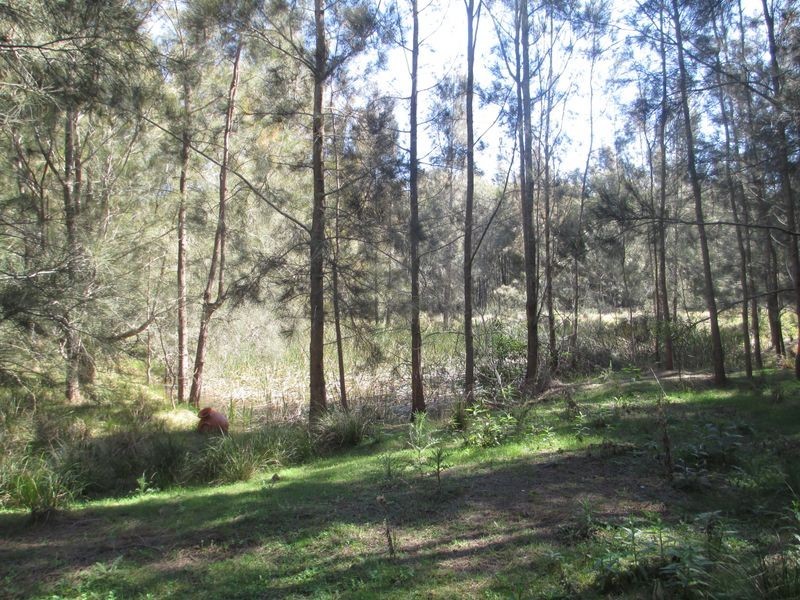 19 Munjeroo Lane, Bingie NSW 2537