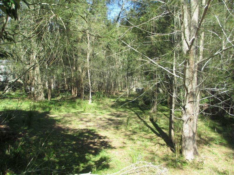 19 Munjeroo Lane, Bingie NSW 2537