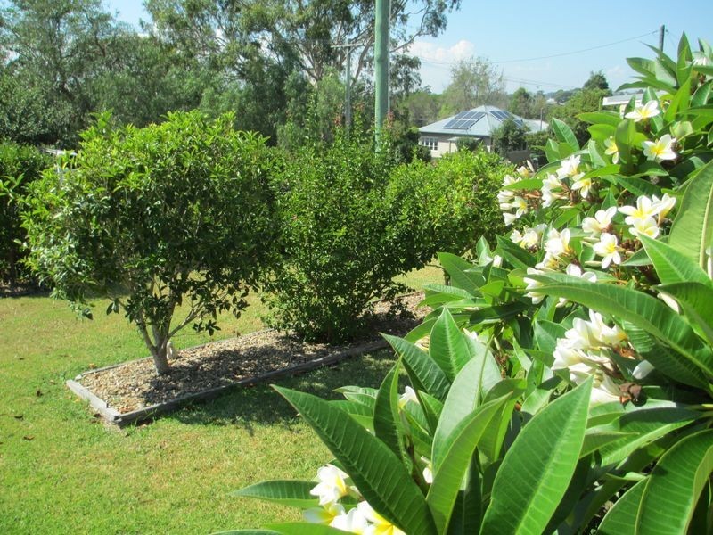 7B Thomas Street, Moruya NSW 2537