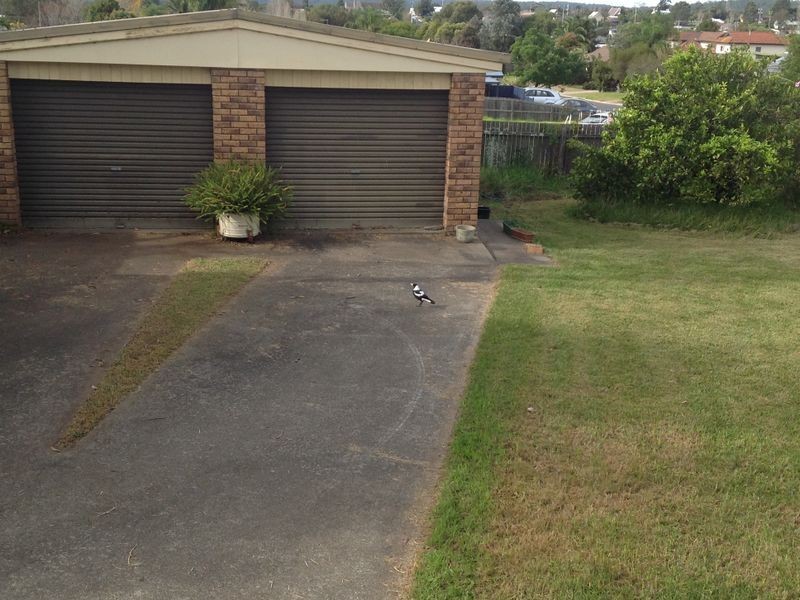 22 Hawdon Street, Moruya NSW 2537