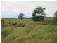 Lot 4 John Street, Moruya NSW 2537
