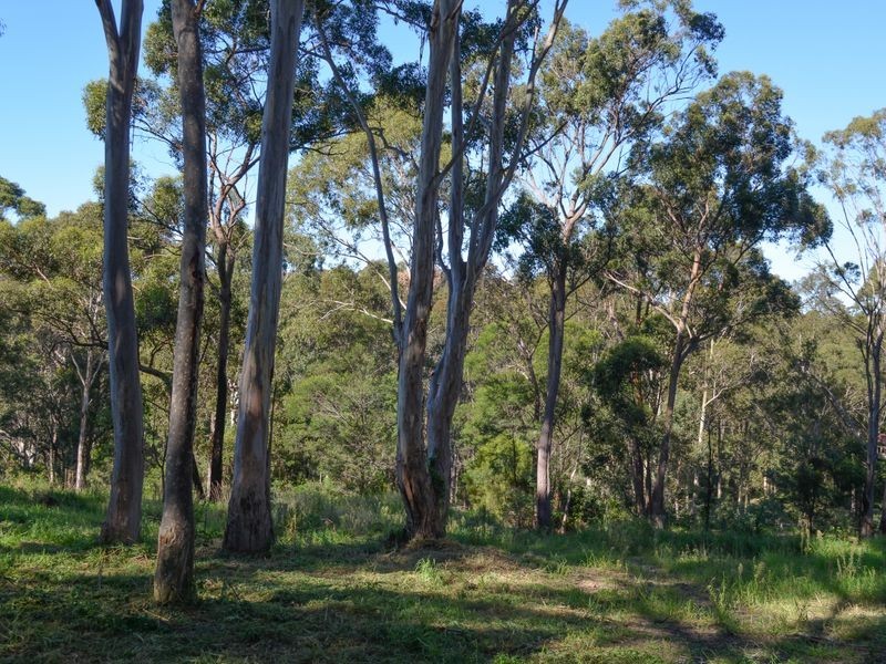 81 The Anchorage, Moruya Heads NSW 2537