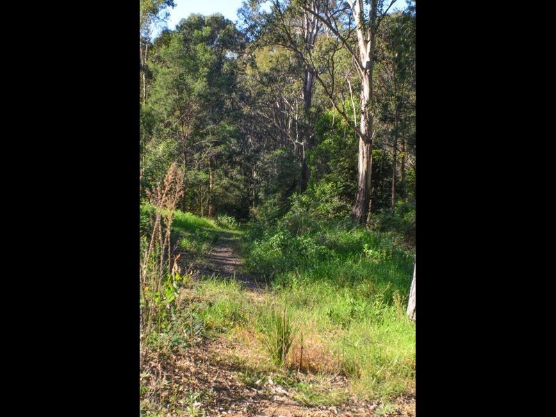 81 The Anchorage, Moruya Heads NSW 2537