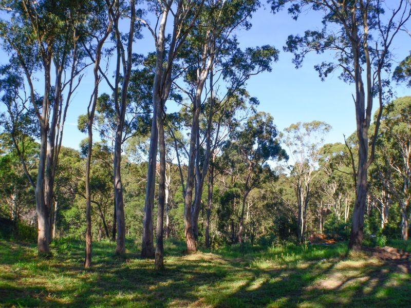 81 The Anchorage, Moruya Heads NSW 2537