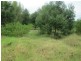 Lot 4 John Street, Moruya NSW 2537