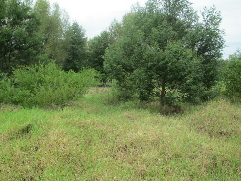 Lot 4 John Street, Moruya NSW 2537