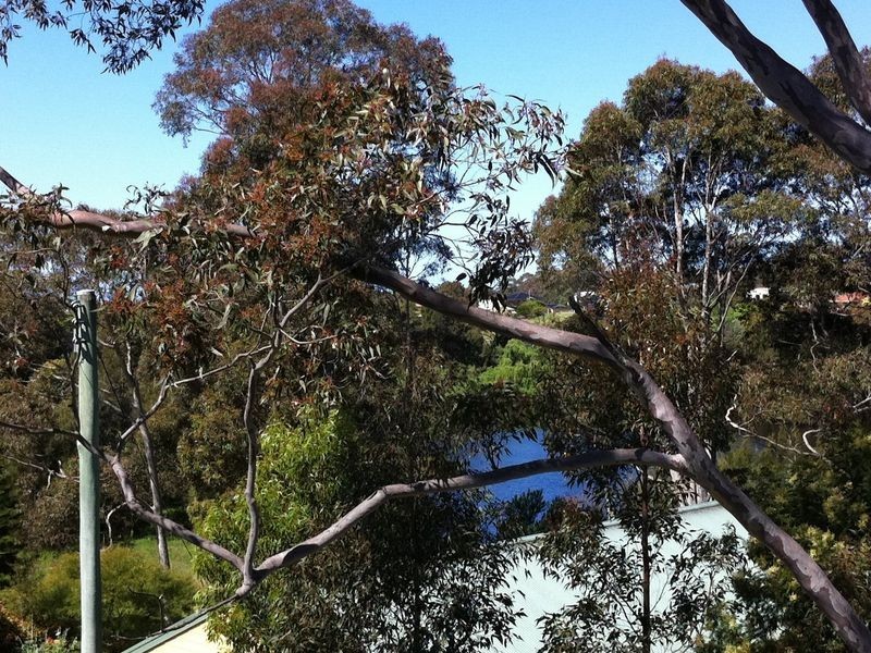 8 Hazel Rd, Moruya Heads NSW 2537