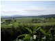 63 Congo Road, Moruya NSW 2537