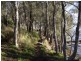 Lot 2242 Bingie Road, Bingie NSW 2537