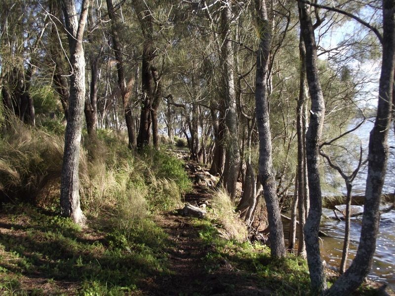 Lot 2242 Bingie Road, Bingie NSW 2537