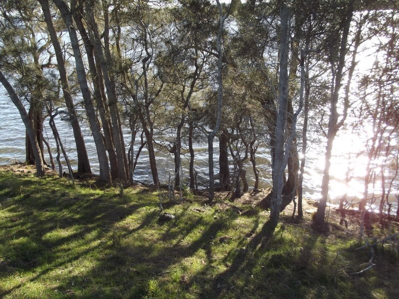 Lot 2242 Bingie Road, Bingie NSW 2537