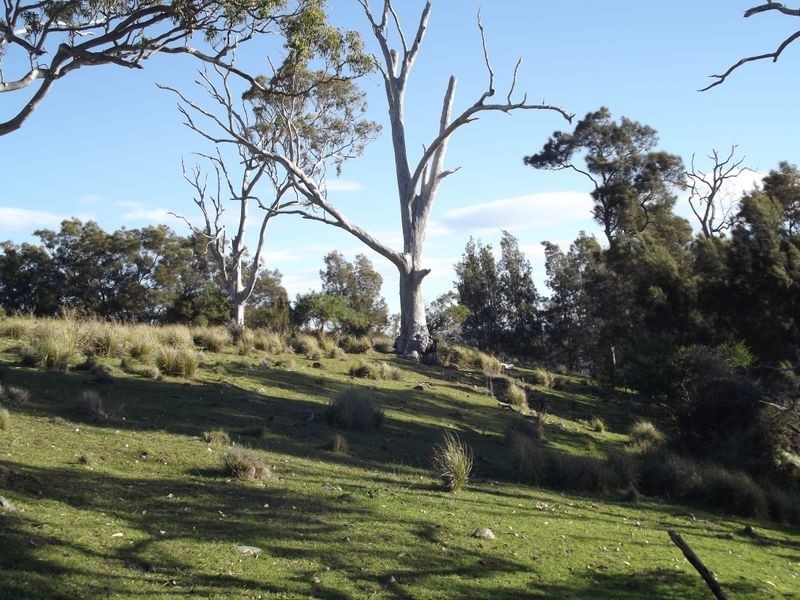 Lot 2242 Bingie Road, Bingie NSW 2537