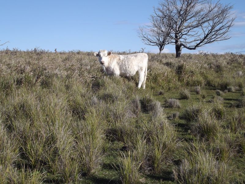 Lot 2242 Bingie Road, Bingie NSW 2537
