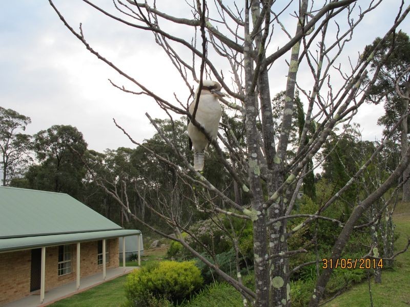28 Janari Close, Moruya NSW 2537