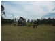 552 Larrys Mountain Road, Moruya NSW 2537
