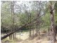 552 Larrys Mountain Road, Moruya NSW 2537