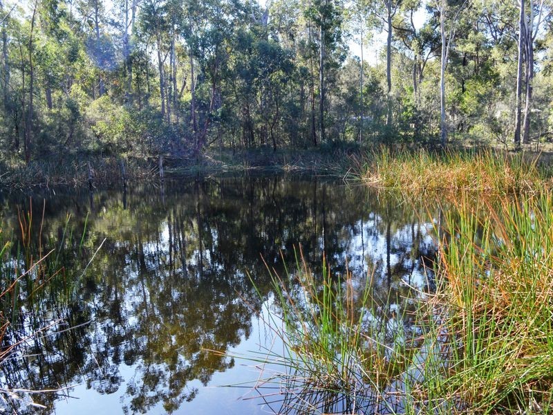 291 Pollwombra Road, Moruya NSW 2537